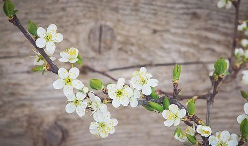 （五）社交活动频率提升带来的曝光效应