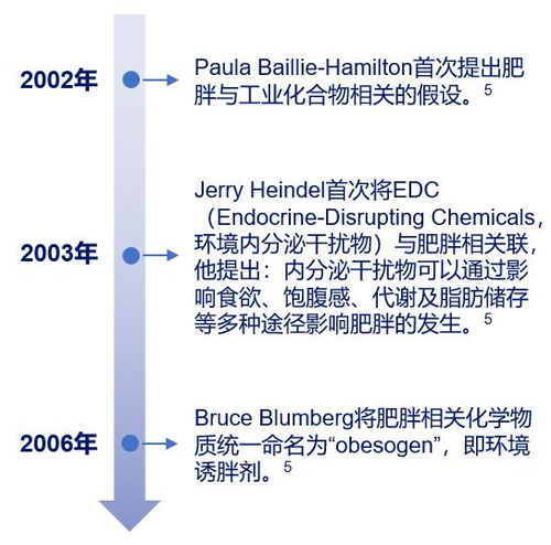 3.1 社会周边环境支持体系的十分沉关键性