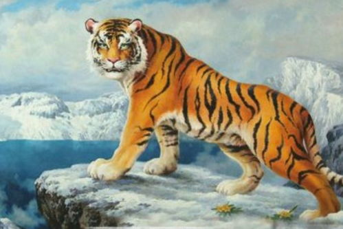 2026年属虎2月份财运运势具体表现是怎样的？