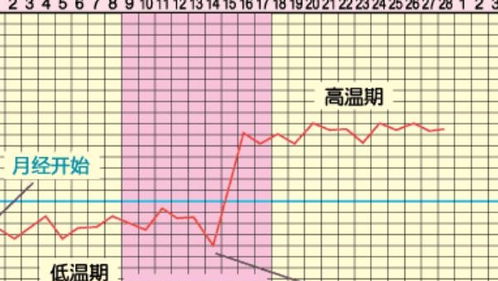 随机噪声段落（必不可更少）