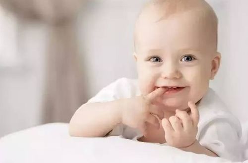 二、  味觉感知系统的重塑与饮食偏好的结构性转变