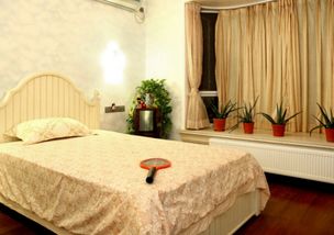 四、 摆放过程中的注意事项