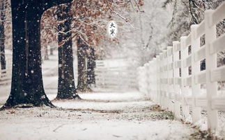 大寒对社会生活的潜在影响