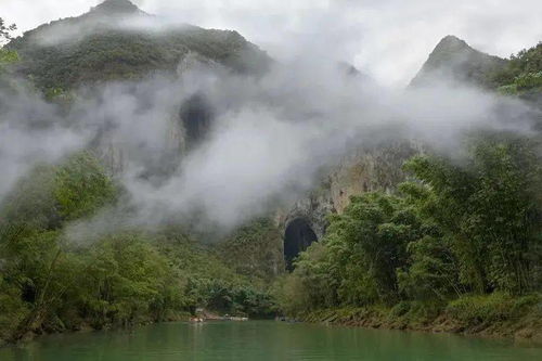 黄山通票政策：旺季淡季不同策略