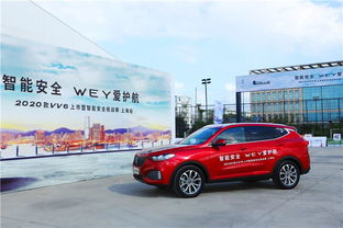 ：关于2025年6月提车吉日的系统性学术考察