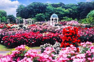 门票价格？抢劫还差不多！