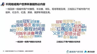 四、  情感需求与决策机制的交互作用：心理动因的实证分析