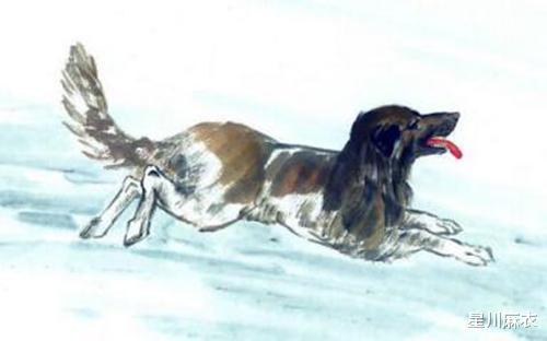 属马的人属狗的贵人是谁？属马属狗的年份又是哪一年呢？