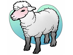 1991年属羊双鱼座的人命运究竟如何，是不是彳艮吉祥？