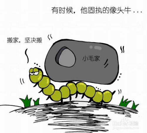 愚钝固执这种命格特征究竟在命理学中占有什么位置？