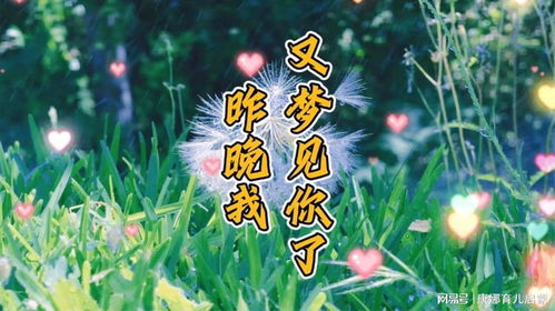 梦境中的诡异氛围