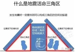 ：地动山摇之际的生存哲学与国学视角下的避险机制