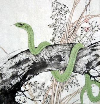 为什么成双成对去郊游，解一生肖，寓意如此深刻？
