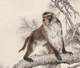 33岁：中年危机的华丽转身