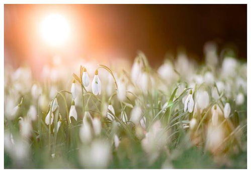 生活的沉重与内心的宁静