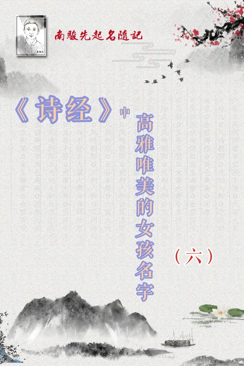 三、一些稍微有点不一样的选择