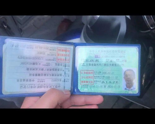 二、 具体物件的象征意义及其更多元解读