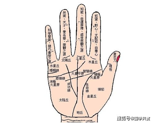 三、  手指形态与间距的深层隐喻