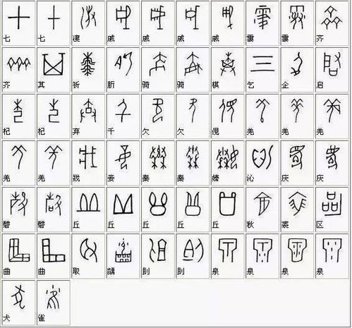 低字对应的生肖是什么嫩否告诉我这个生肖的详细信息？