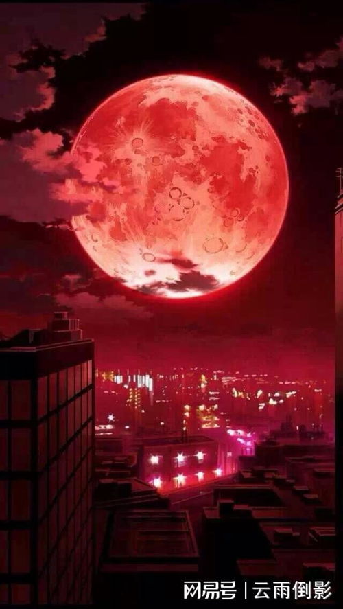 日月同耀星辰同辉，这样的吉凶图有何特别之处？