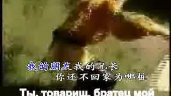 光阴流转中的阴阳交错：阳光下的阴森