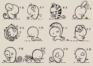 三长两短十二生肖中，哪个生肖尾巴最长？