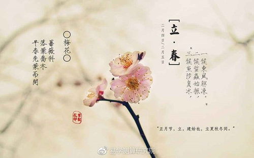 ：立春之天文学与命理学意义