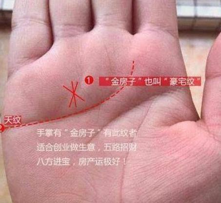 特殊手纹的含义