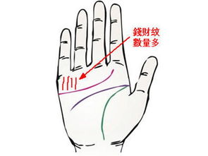 天生富贵命有哪些显著特征？