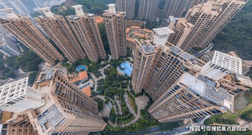 2. 淘金山：争议中的双刃剑