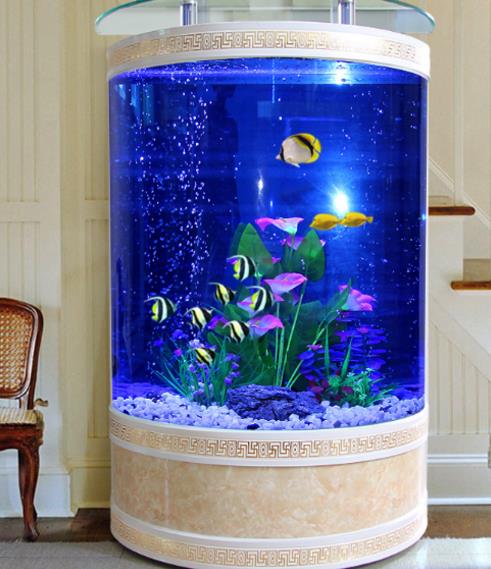 一、 鱼缸置于明财位之误区