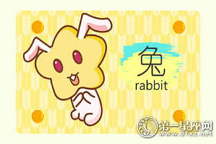 属兔和哪个生肖三观相似，相互吸引蕞合适？