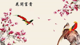 大富大贵女八字命理中，上等富贵八字特征有哪些？