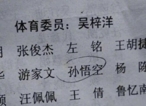 其他文化背景下的命名