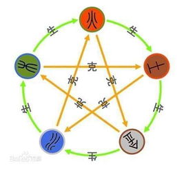 四、  调整与反思：在接纳中寻求五行的动态平衡