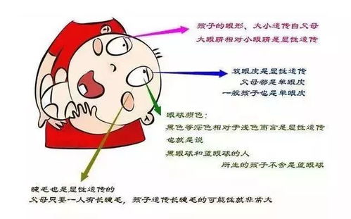 1.2 灵魂层面的相遇与确认