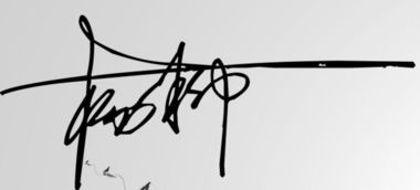 有哪些关于柳树的名字可以给植物起名？