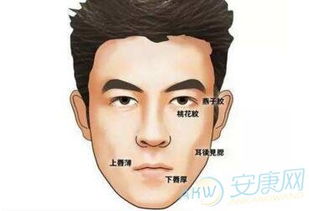 细致观察：鼻子上的细节暗示