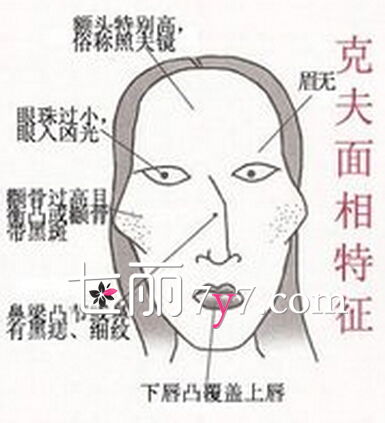 八字中哪些女性特征会克夫或旺夫？