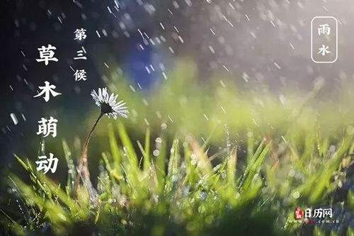 三候——草木萌动