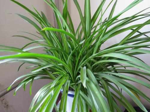 1.2 基于八卦方位的空间摆放策略