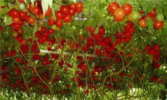 到底是个啥地方？名字这么长！