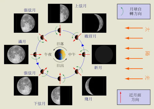 三颗主曜（巨门·太阴·天梁）的象征意义及其对守命宫中太阳