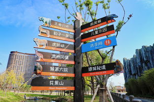 太湖边的风花雪月