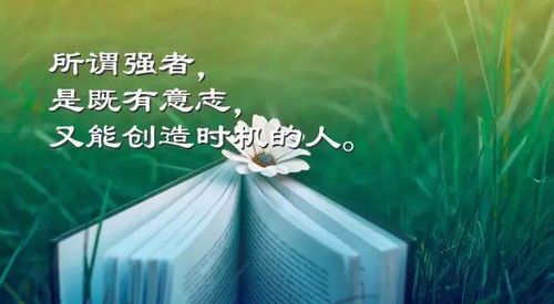 二、心理状态学视角：恐慌与认知失调
