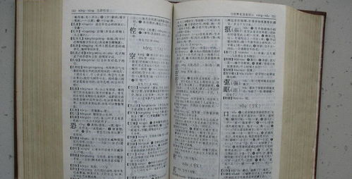二、文化语境中的社会意义解读