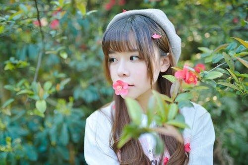 生肖属性对情感调适的影响机制