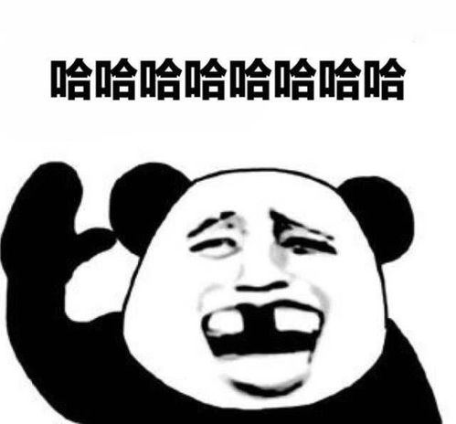 一、 探究背景与探究对象概述