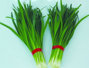 出门求财指南：跟着韭菜走？