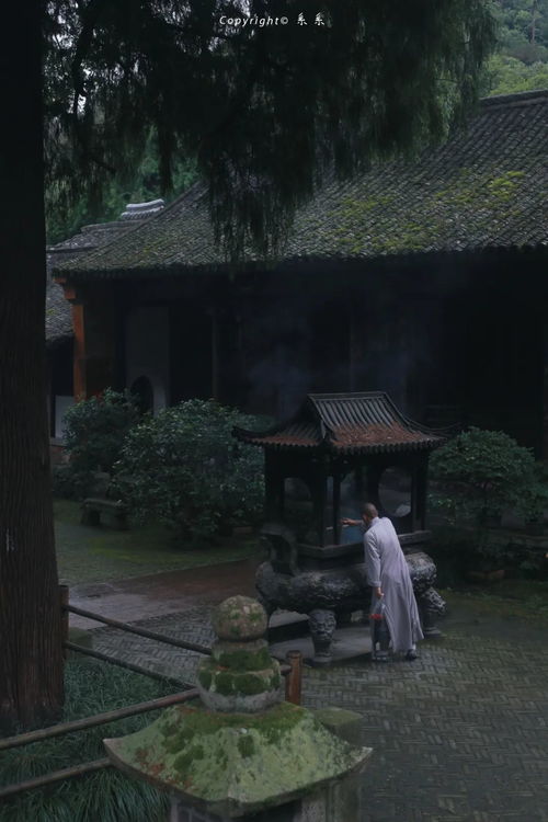 一窥“国清寺挂单住宿禅修”——那份宁静与喧嚣并存